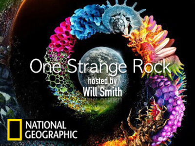 One Strange Rock
